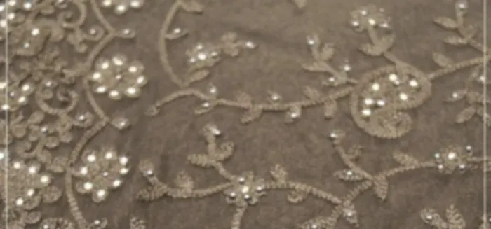 Silver sequins and fine white thread embroidery scattered across a soft grey fabric.