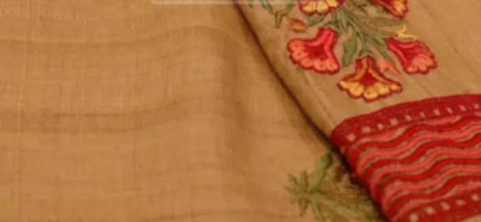 Coral and green floral embroidery worked along the border of a camel coloured silk saree.